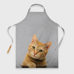 Фартук кулинарный Рыжий котик, цвет: 3D-принт