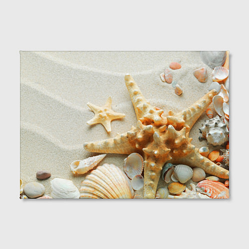 Картина прямоугольная Морские ракушки / 3D-принт – фото 2