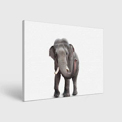 Холст прямоугольный Большой слон, цвет: 3D-принт