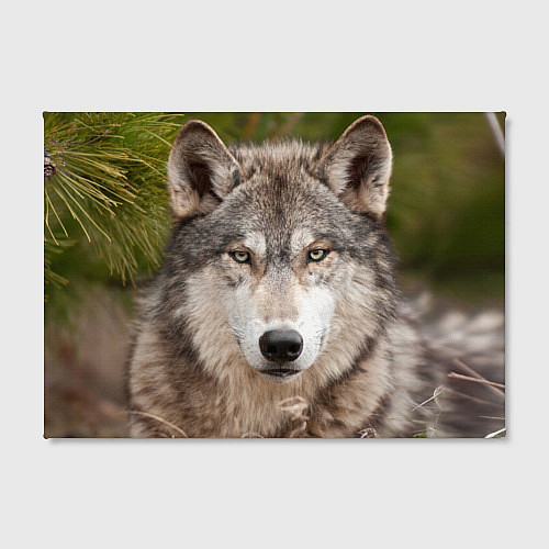 Картина прямоугольная Волк таежный / 3D-принт – фото 2