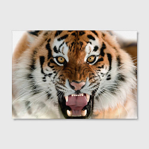 Картина прямоугольная Свирепый тигр / 3D-принт – фото 2