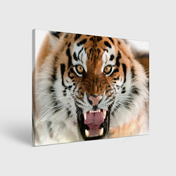 Холст прямоугольный Свирепый тигр, цвет: 3D-принт