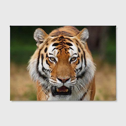 Картина прямоугольная Рык тигра / 3D-принт – фото 2