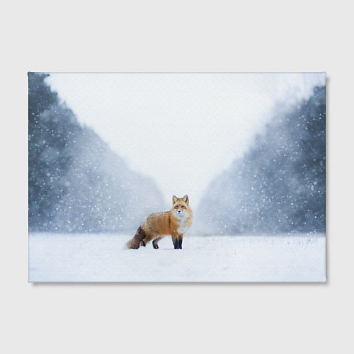 Картина прямоугольная Лиса на снегу / 3D-принт – фото 2