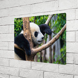 Холст прямоугольный Бамбуковый медведь, цвет: 3D-принт — фото 2
