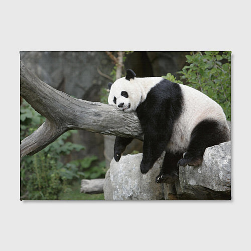 Картина прямоугольная Большая уставшая панда / 3D-принт – фото 2