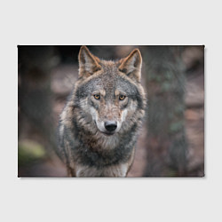 Холст прямоугольный Волк - санитар леса, цвет: 3D-принт — фото 2