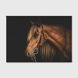Холст прямоугольный Взгляд коня, цвет: 3D-принт — фото 2