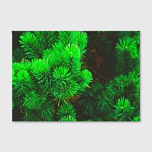 Картина прямоугольная Зелёная ель / 3D-принт – фото 2