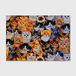 Холст прямоугольный КОТЯТКИ, цвет: 3D-принт — фото 2