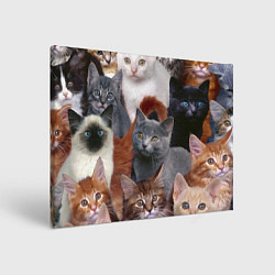 Холст прямоугольный КОТЯТКИ, цвет: 3D-принт