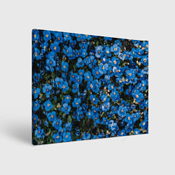 Картина прямоугольная Поле синих цветов фиалки лето