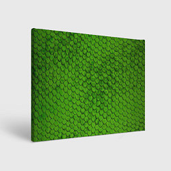 Холст прямоугольный Зелёная чешуя, цвет: 3D-принт
