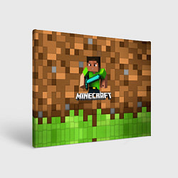 Холст прямоугольный Minecraft logo heroes, цвет: 3D-принт