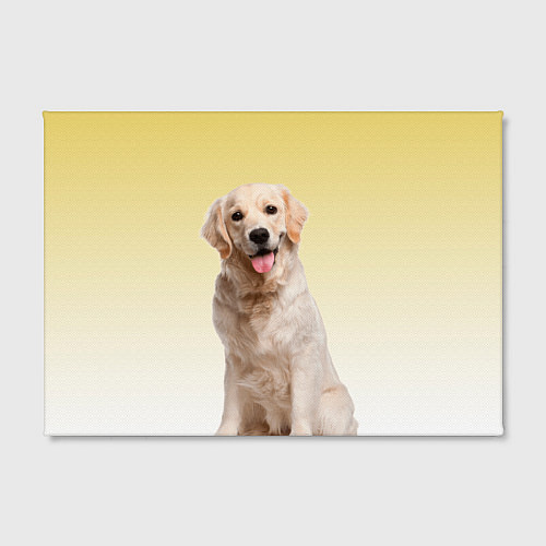 Картина прямоугольная Лабрадор ретривер пес / 3D-принт – фото 2