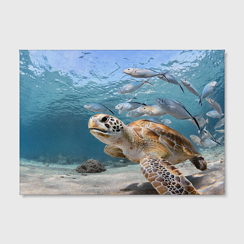 Картина прямоугольная Морская черепаха / 3D-принт – фото 2