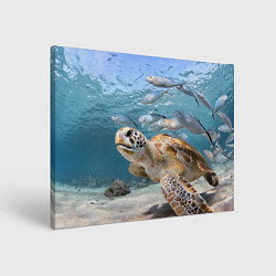Картина прямоугольная Морская черепаха
