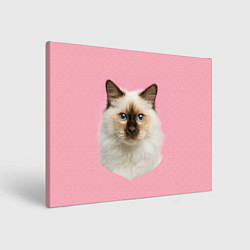 Холст прямоугольный Пушистый кот, цвет: 3D-принт