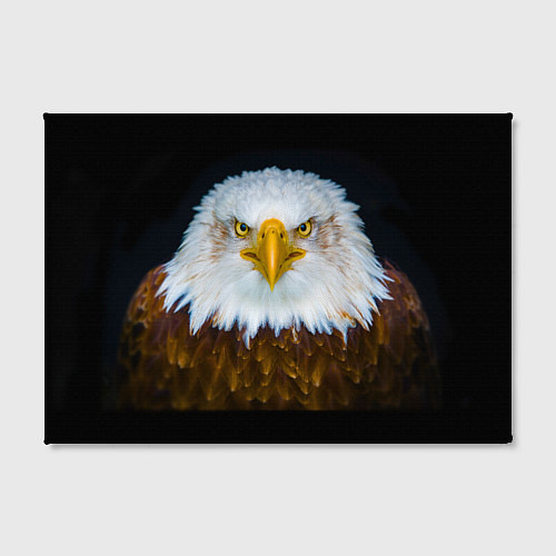 Картина прямоугольная Белоголовый орлан / 3D-принт – фото 2