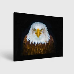 Холст прямоугольный Белоголовый орлан, цвет: 3D-принт