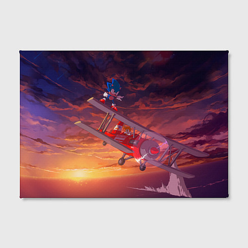 Картина прямоугольная AMY ROSE SONIC СОНИК Z / 3D-принт – фото 2