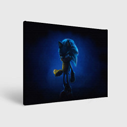 Холст прямоугольный SONIC СОНИК Z, цвет: 3D-принт