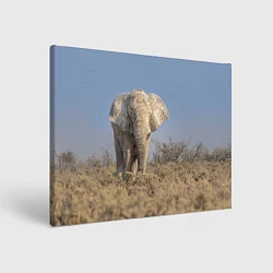 Холст прямоугольный Африканский белый слон, цвет: 3D-принт