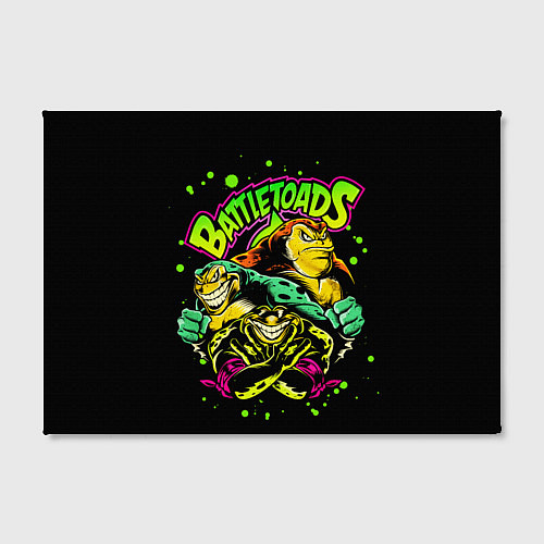 Картина прямоугольная Battletoads Боевые Жабы / 3D-принт – фото 2