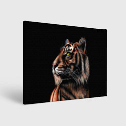 Картина прямоугольная Тигр в Темноте Взгляд Вверх
