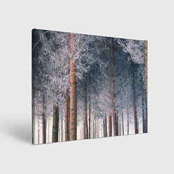 Картина прямоугольная Зимний еловый лес