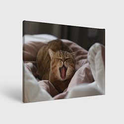 Картина прямоугольная Зевающий кот на кровати