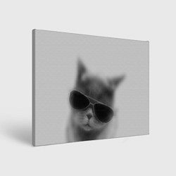 Холст прямоугольный Крутой кот в очках в тумане, цвет: 3D-принт
