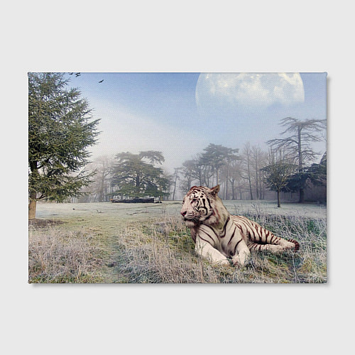 Картина прямоугольная Полосатый белый тигр / 3D-принт – фото 2