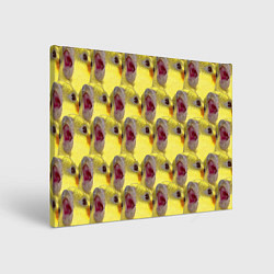 Холст прямоугольный Попугай Корелла Орёт Мем, цвет: 3D-принт