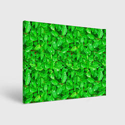 Холст прямоугольный Зелёные листья - текстура, цвет: 3D-принт