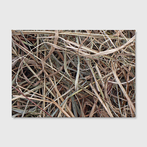 Картина прямоугольная Обычная высохшая трава - авангард / 3D-принт – фото 2