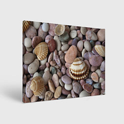 Холст прямоугольный Морские камни и ракушки, цвет: 3D-принт