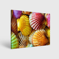 Картина прямоугольная Разноцветные створки океанских раковин