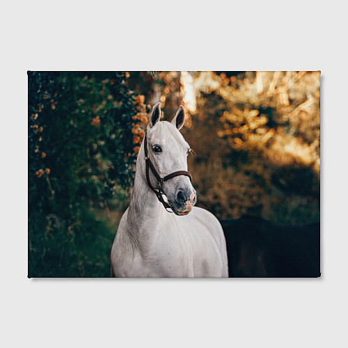 Картина прямоугольная Белая лошадка / 3D-принт – фото 2