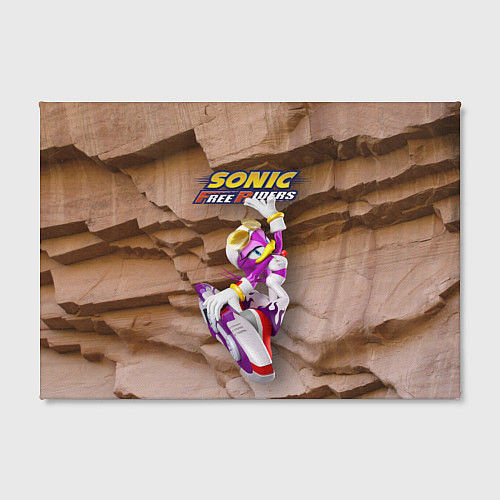 Картина прямоугольная Wave the Swallow - Sonic Free Riders / 3D-принт – фото 2