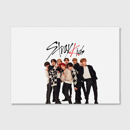 Картина прямоугольная Stray Kids white background / 3D-принт – фото 2