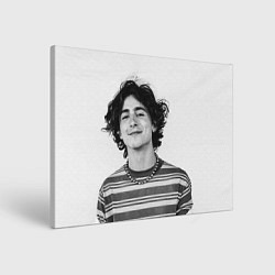 Картина прямоугольная Timothee Chalamet black white photo