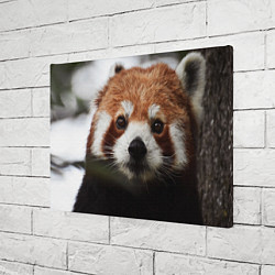 Холст прямоугольный Малая панда, цвет: 3D-принт — фото 2