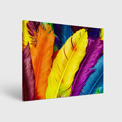 Картина прямоугольная Разноцветные перья птиц