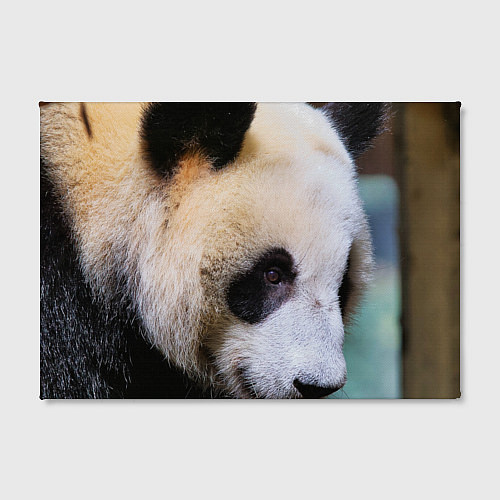 Картина прямоугольная Загадочная панда / 3D-принт – фото 2