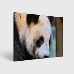 Холст прямоугольный Загадочная панда, цвет: 3D-принт