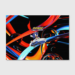 Холст прямоугольный Sonic Free Riders - Hedgehog, цвет: 3D-принт — фото 2