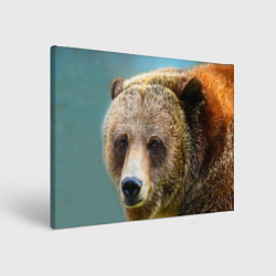 Холст прямоугольный Русский бурый медведь, цвет: 3D-принт