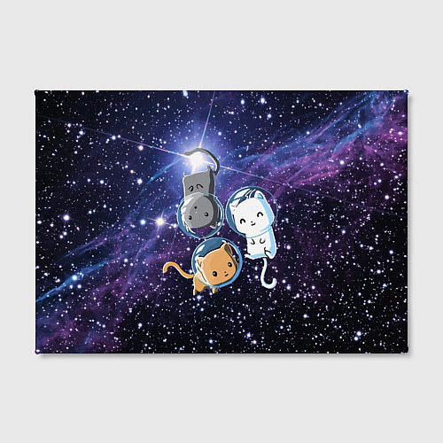 Картина прямоугольная Три котика в открытом космосе / 3D-принт – фото 2