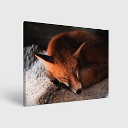 Картина прямоугольная Спящая лисичка